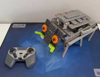 Walking Bug - Instructions